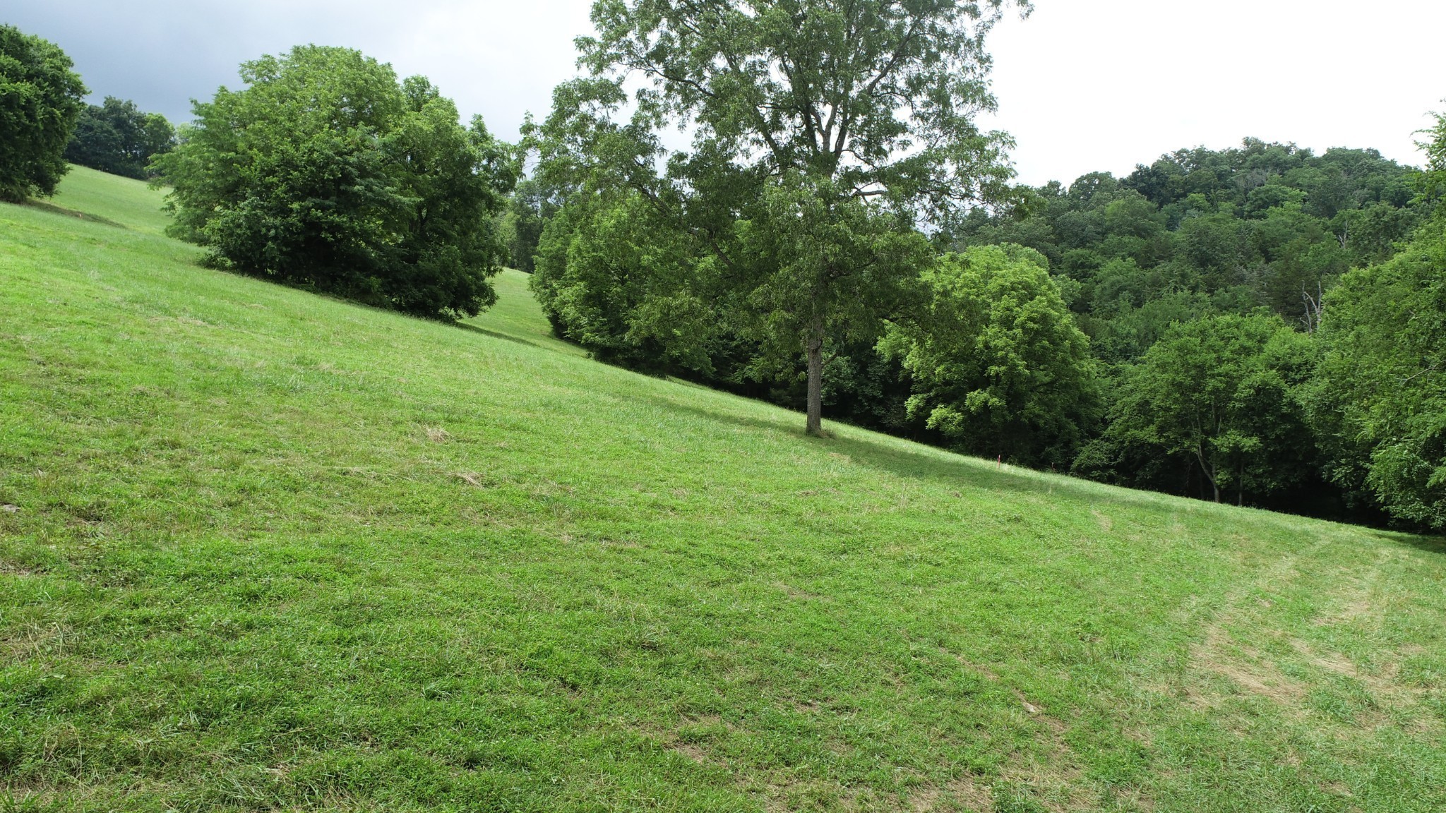 0 Granville Hwy Property Photo 55