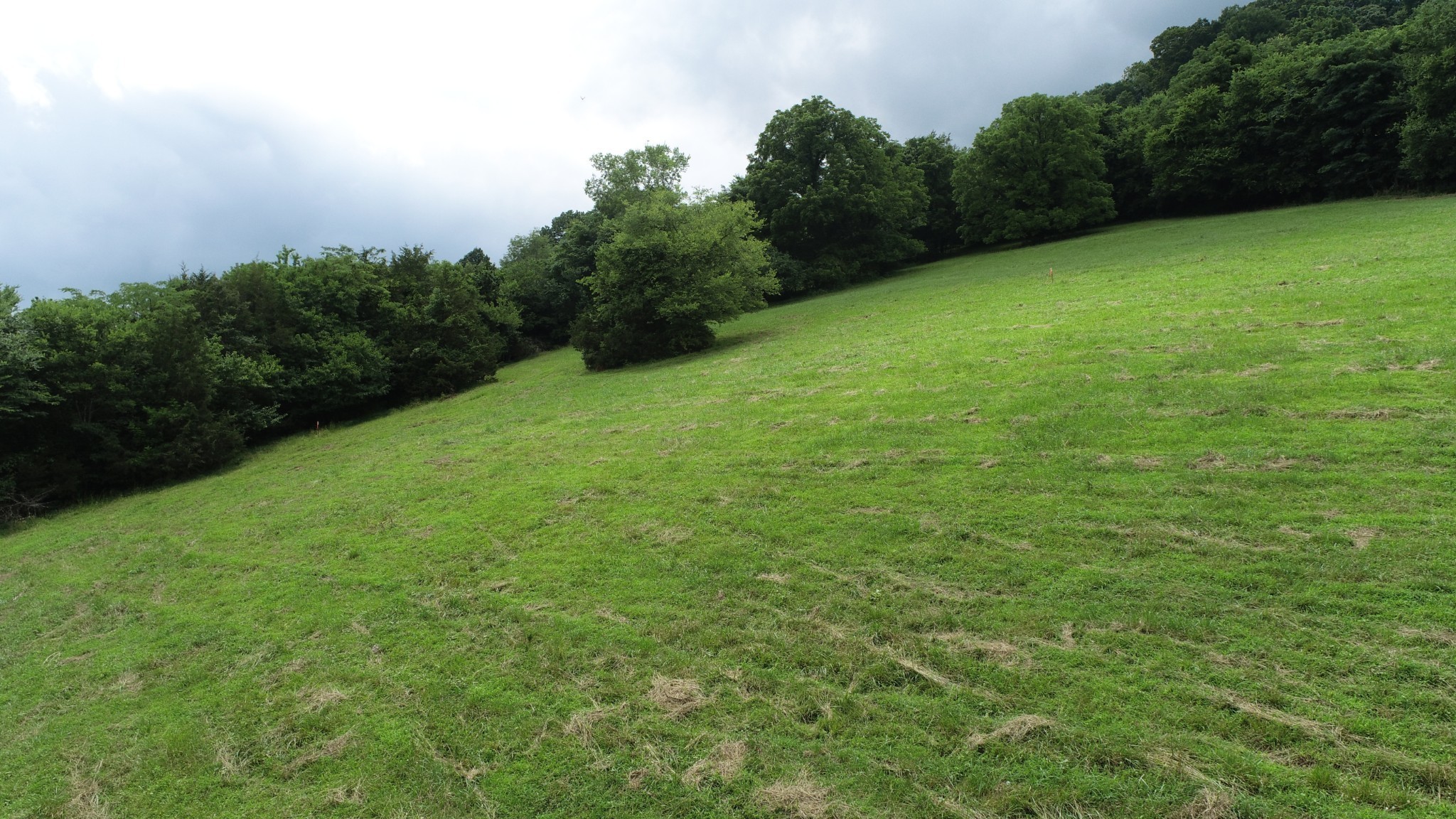 0 Granville Hwy Property Photo 56