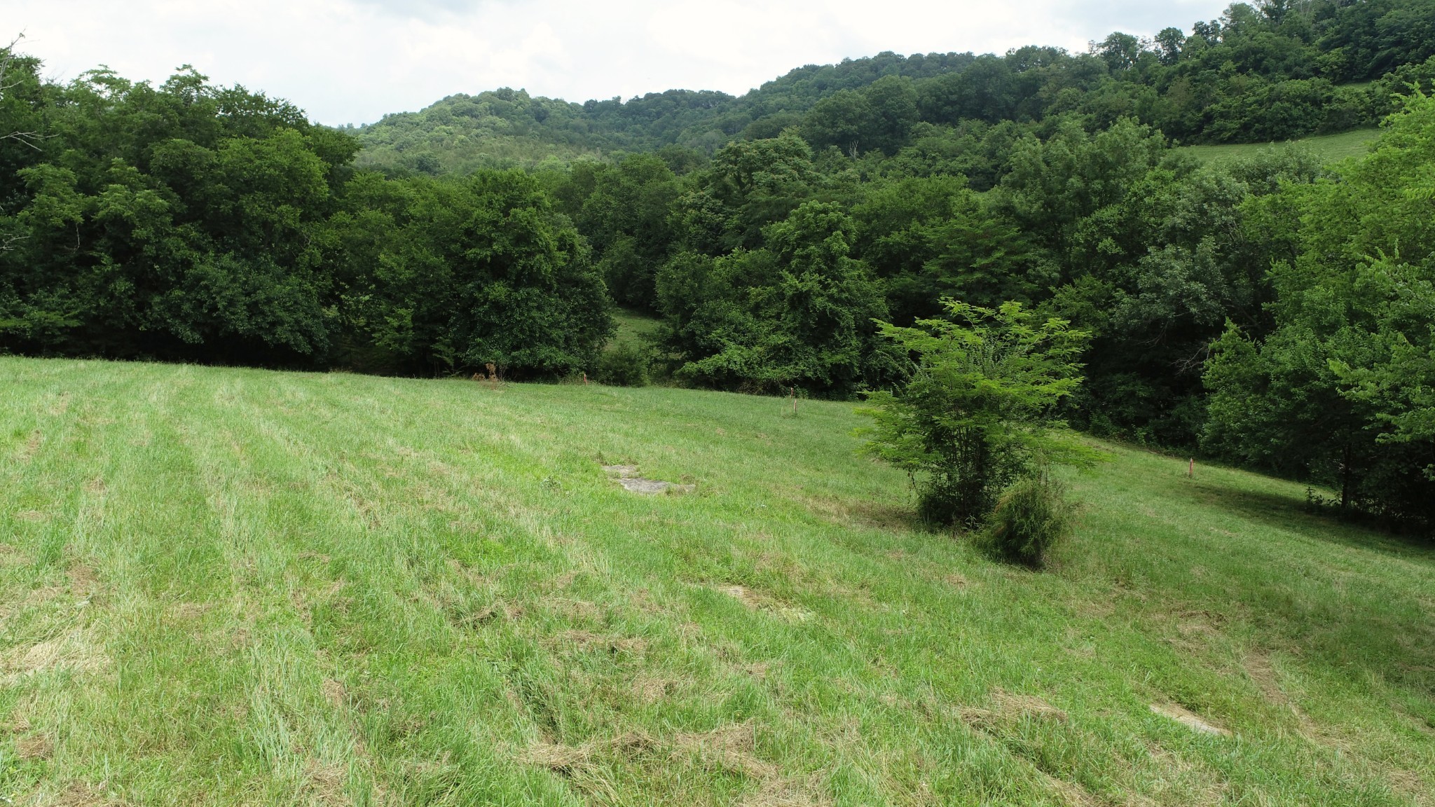 0 Granville Hwy Property Photo 60