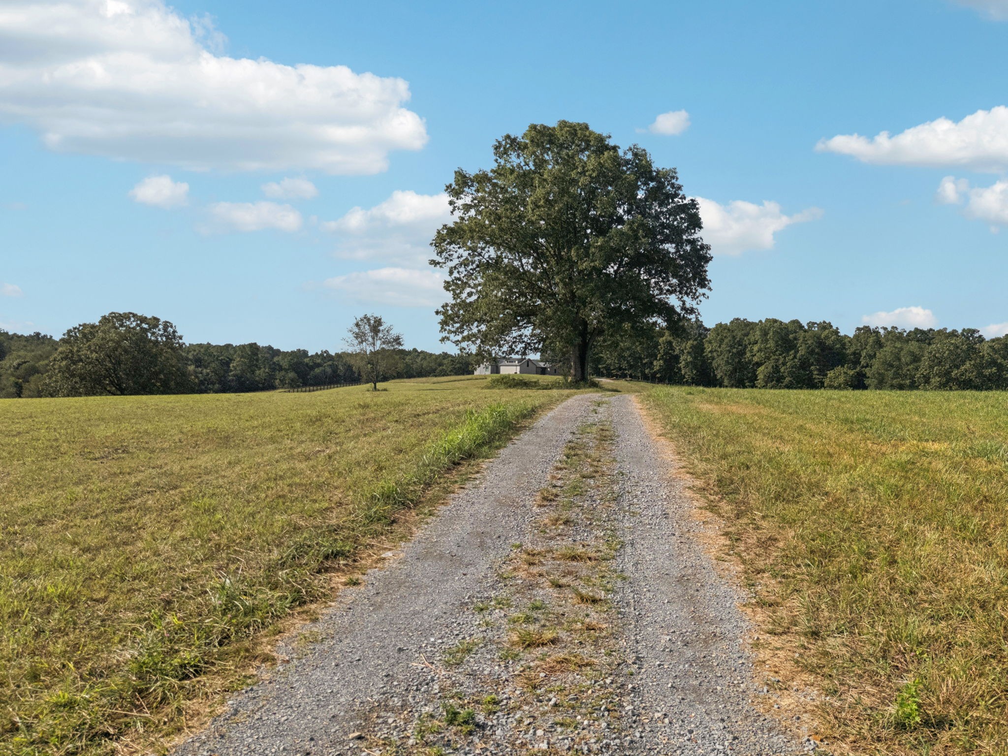 0 West Lick Creek Road Property Photo 39