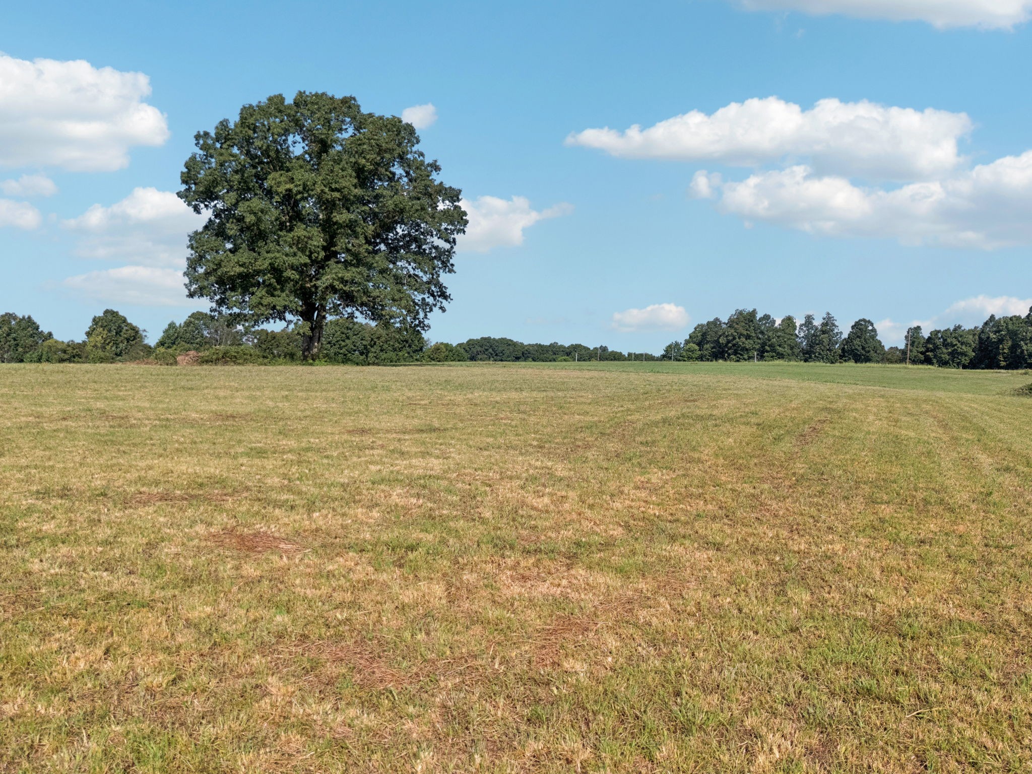 0 West Lick Creek Road Property Photo 41