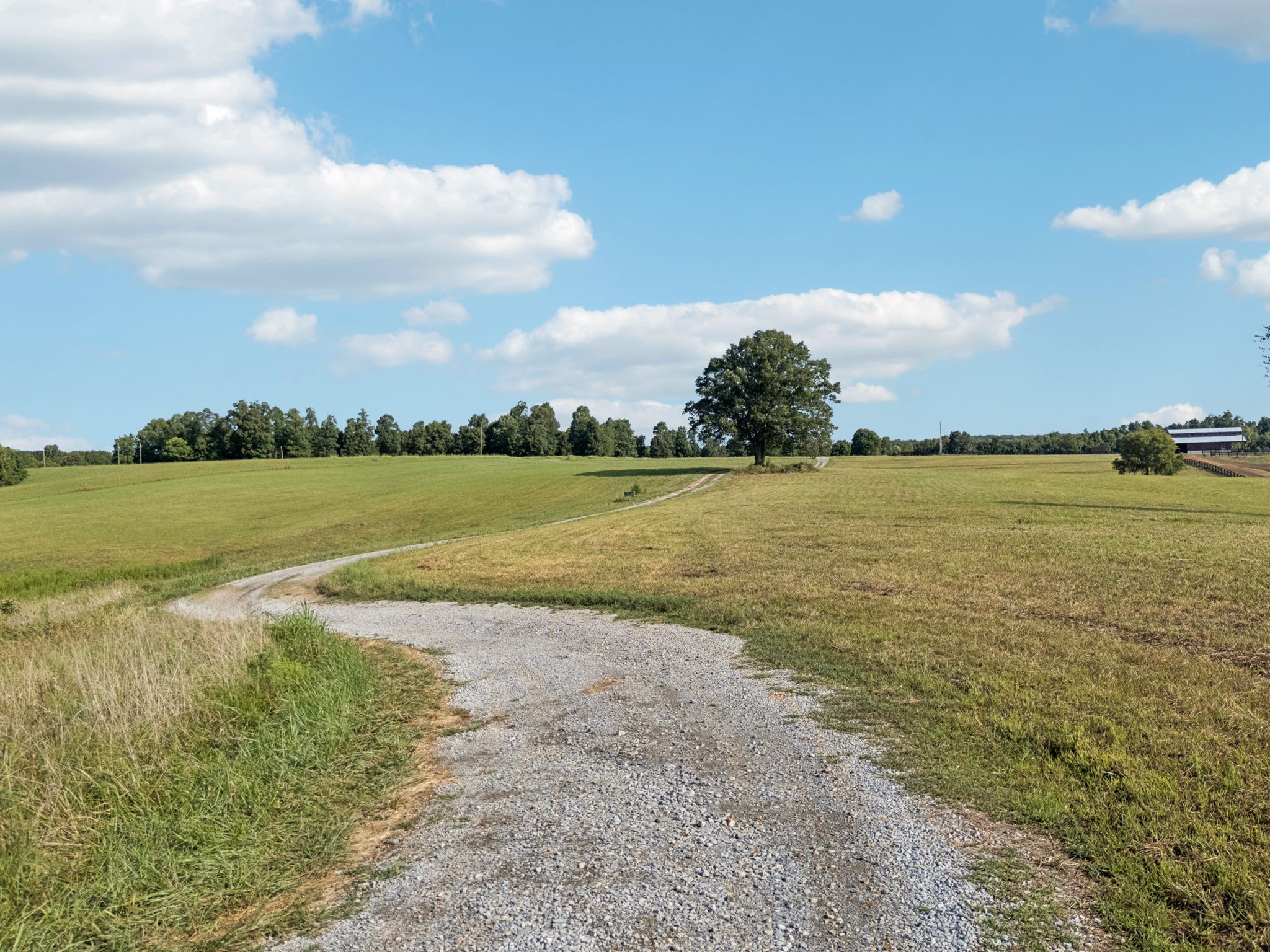 0 West Lick Creek Road Property Photo 44