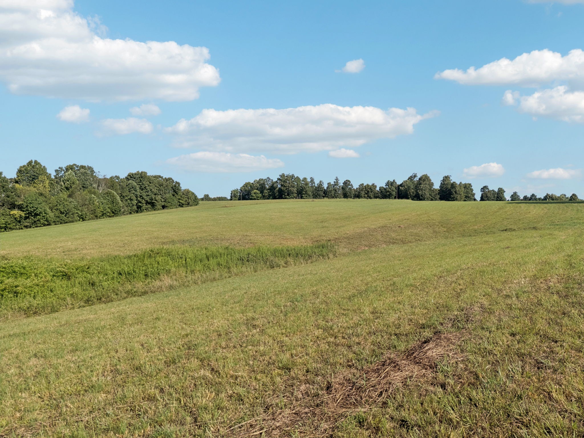 0 West Lick Creek Road Property Photo 46