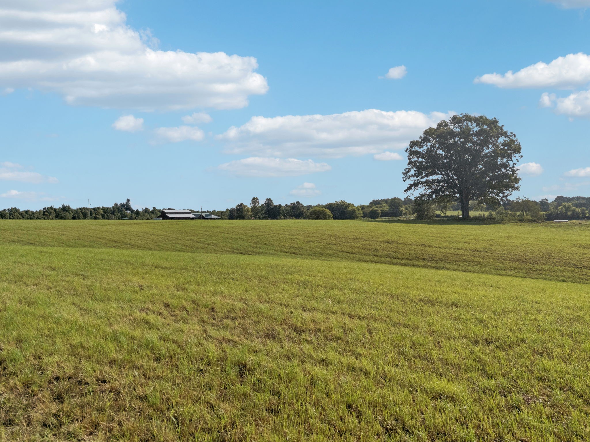 0 West Lick Creek Road Property Photo 48
