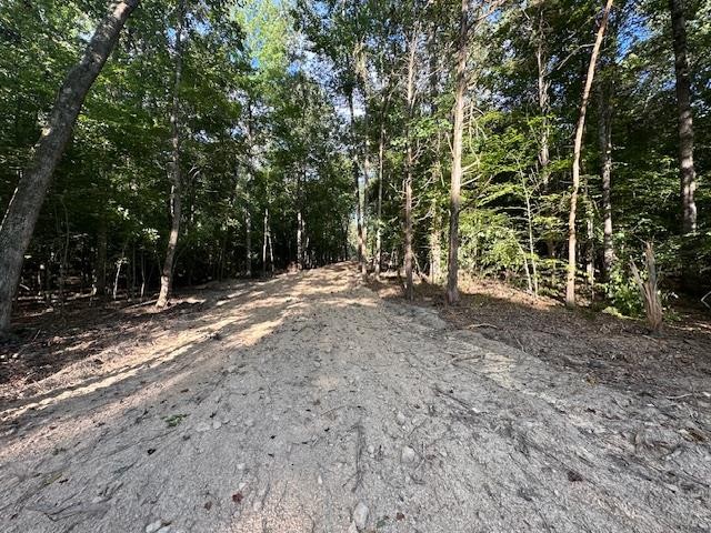 6 Sales Landing Rd Property Photo 3