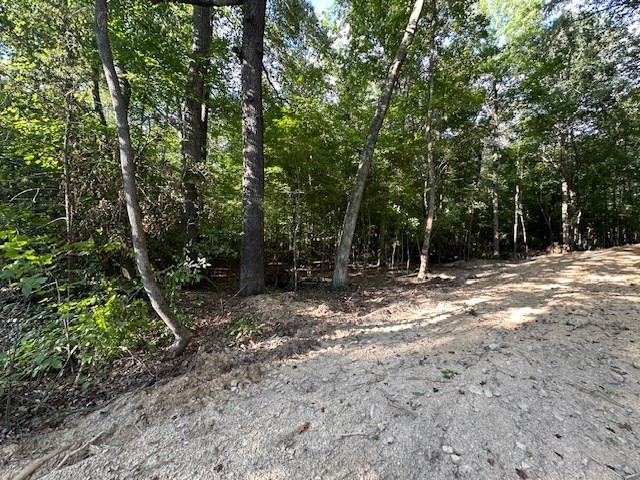 6 Sales Landing Rd Property Photo 4