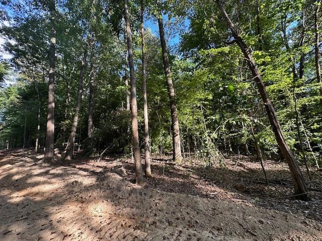 6 Sales Landing Rd Property Photo 8