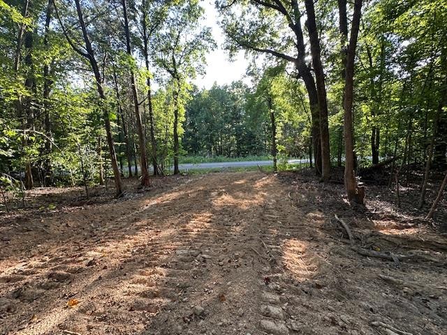 6 Sales Landing Rd Property Photo 10