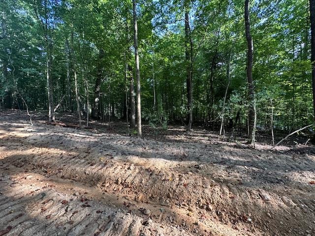 6 Sales Landing Rd Property Photo 11