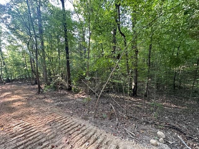 6 Sales Landing Rd Property Photo 14