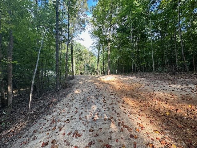 6 Sales Landing Rd Property Photo 16