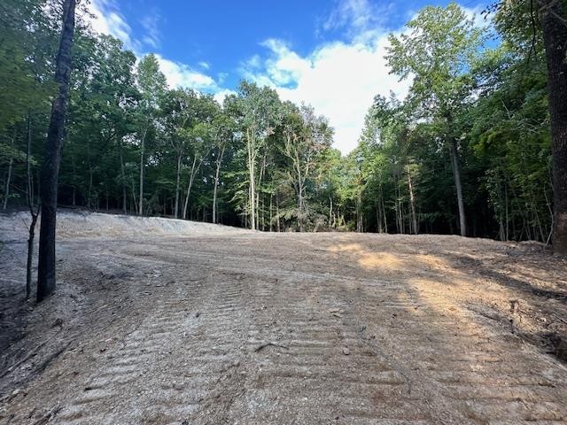 6 Sales Landing Rd Property Photo 17