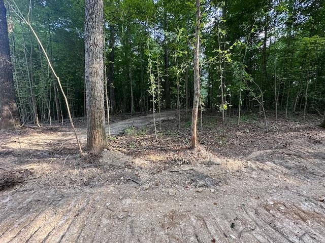 6 Sales Landing Rd Property Photo 19