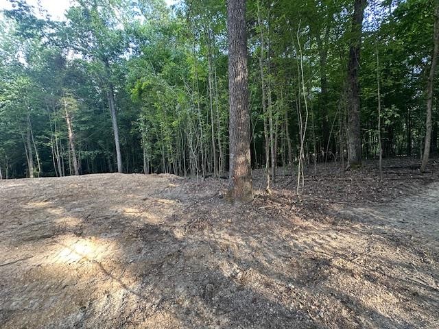 6 Sales Landing Rd Property Photo 21