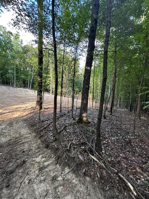 6 Sales Landing Rd Property Photo 24