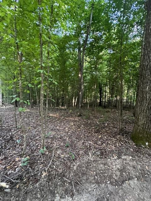 6 Sales Landing Rd Property Photo 25