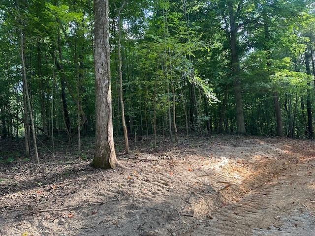 6 Sales Landing Rd Property Photo 27