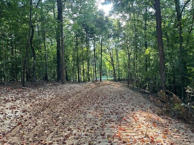 6 Sales Landing Rd Property Photo 28