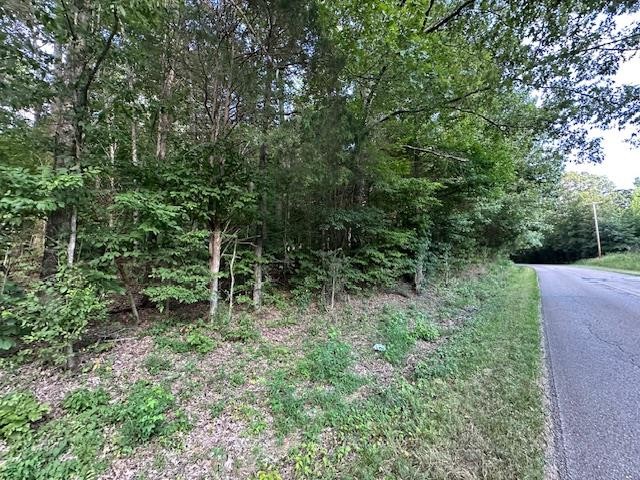 6 Sales Landing Rd Property Photo 29