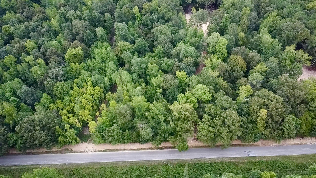 6 Sales Landing Rd Property Photo 39