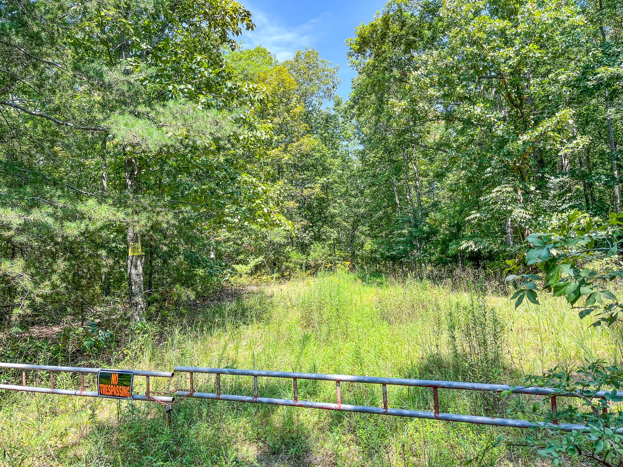 0 Ridgetop Rd Property Photo 4