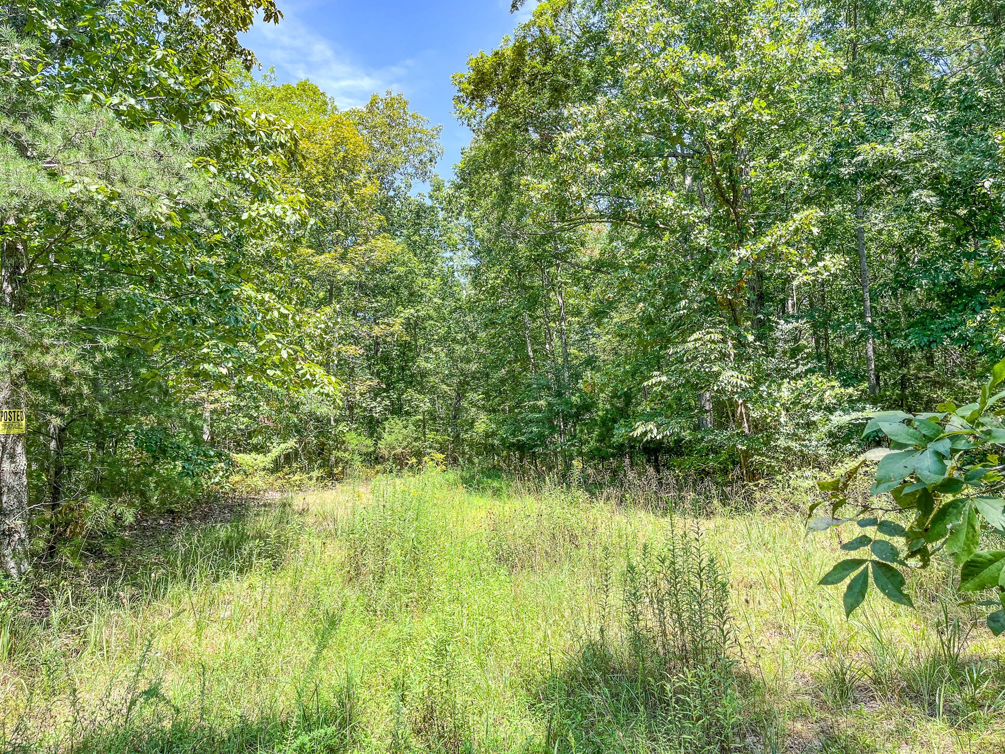 0 Ridgetop Rd Property Photo 5