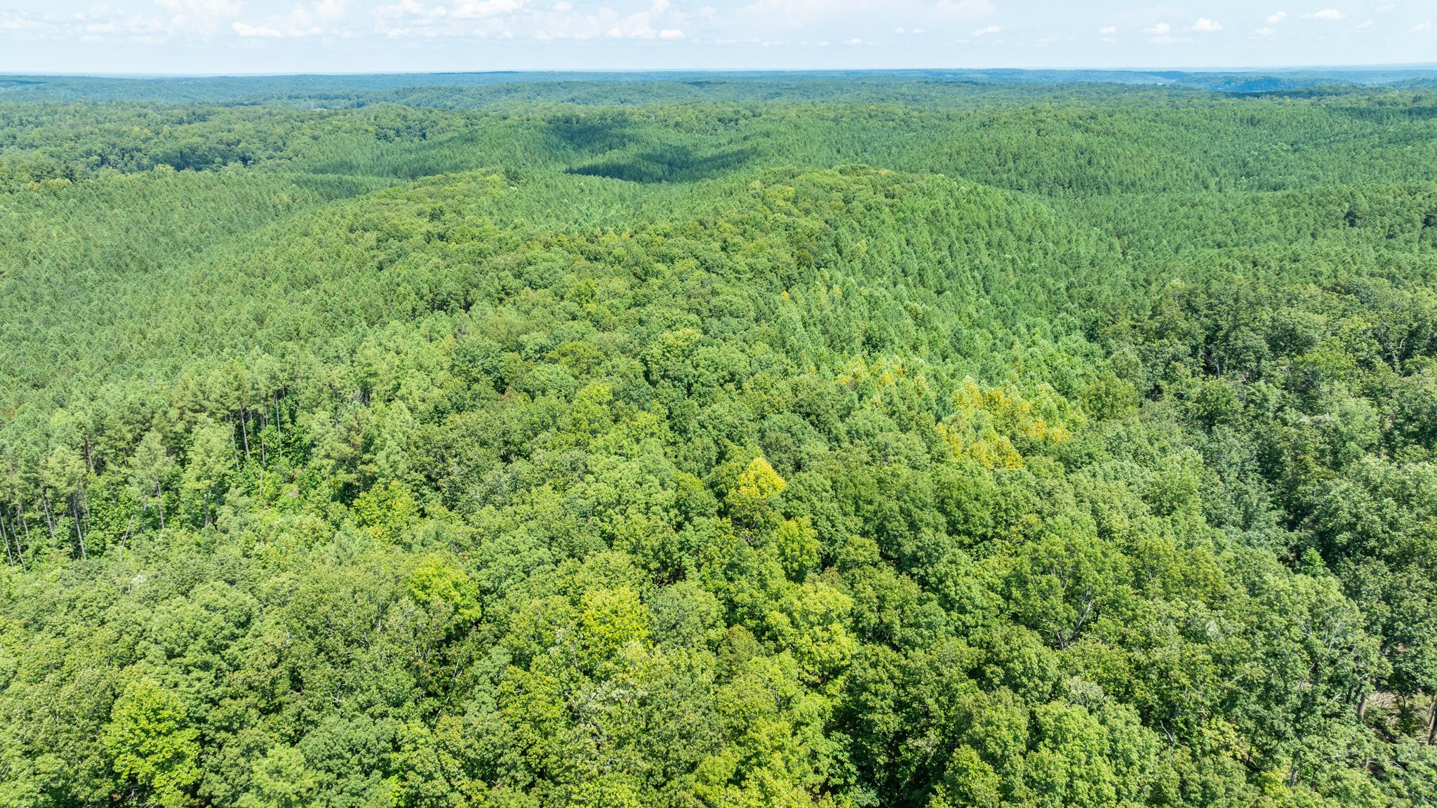 0 Ridgetop Rd Property Photo 16