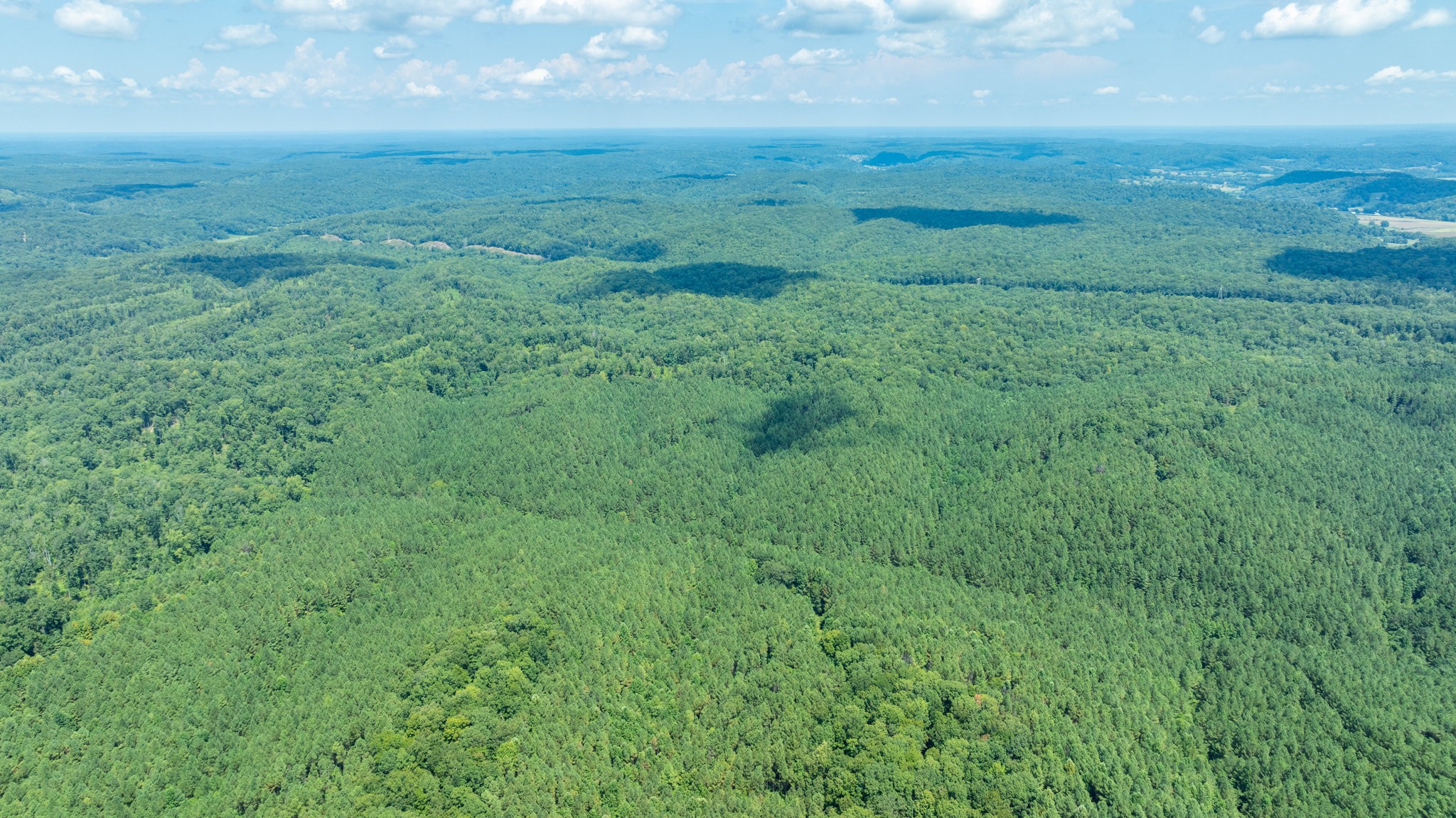 0 Ridgetop Rd Property Photo 24