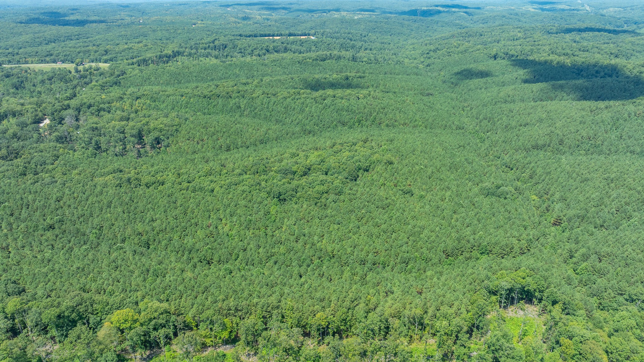 0 Ridgetop Rd Property Photo 29