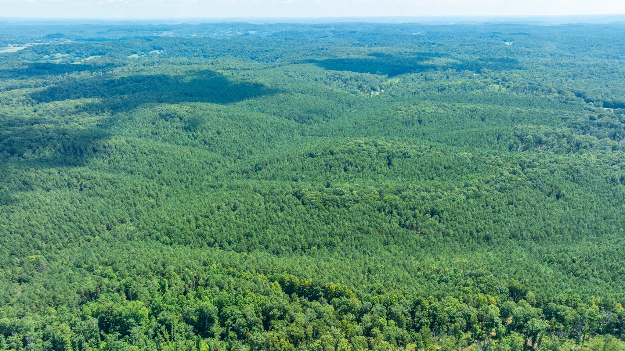 0 Ridgetop Rd Property Photo 33