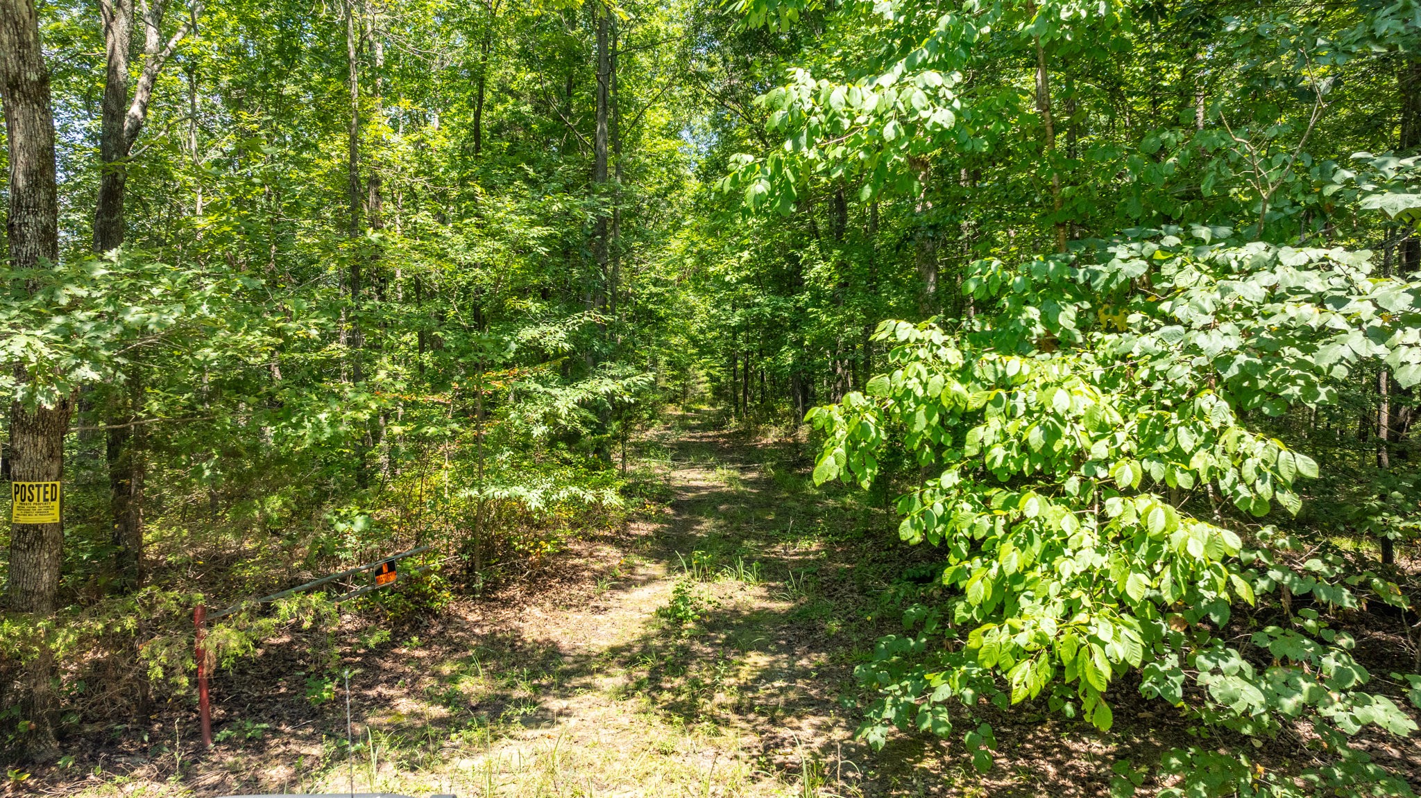 0 Ridgetop Rd Property Photo 44