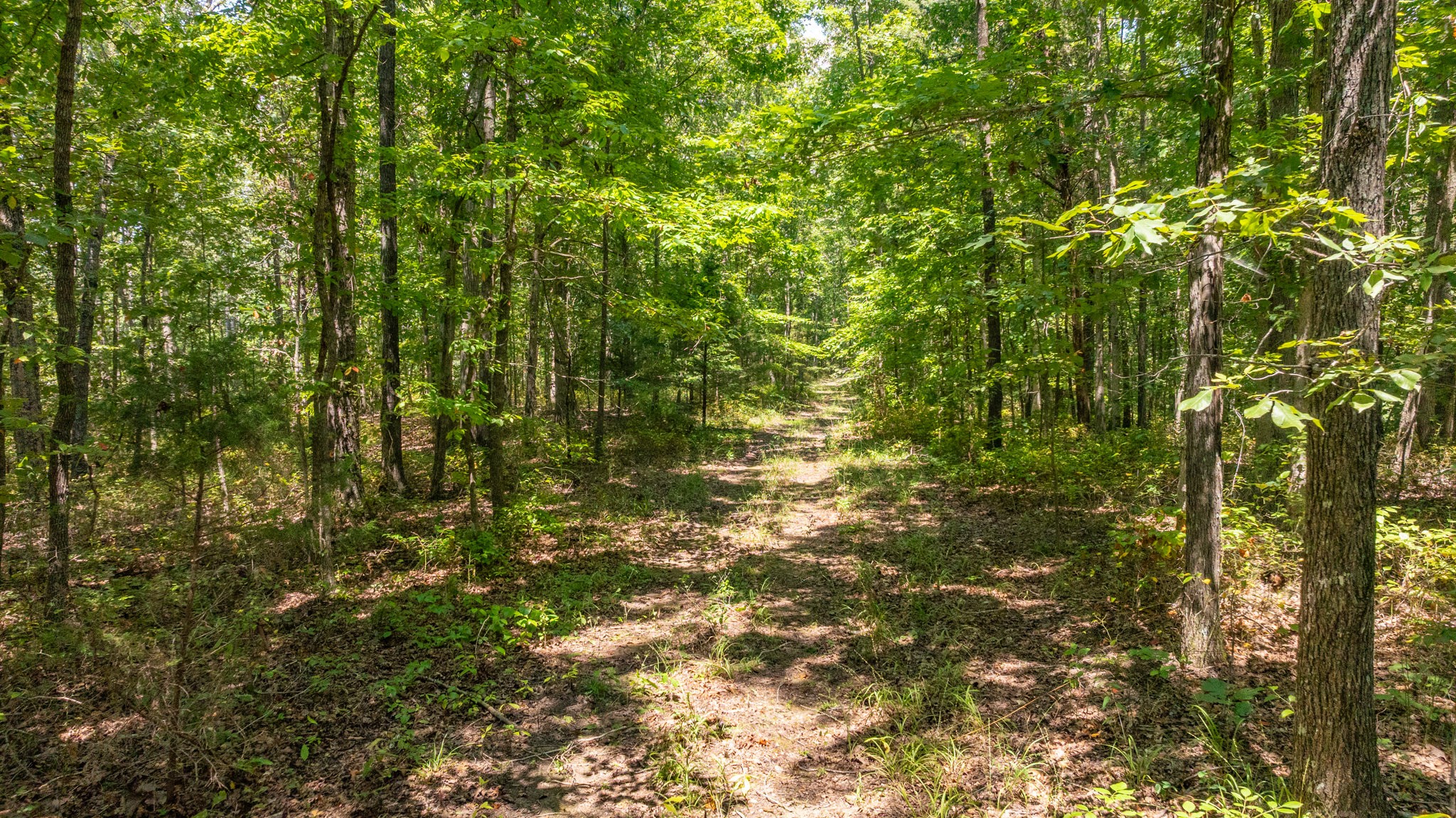 0 Ridgetop Rd Property Photo 47