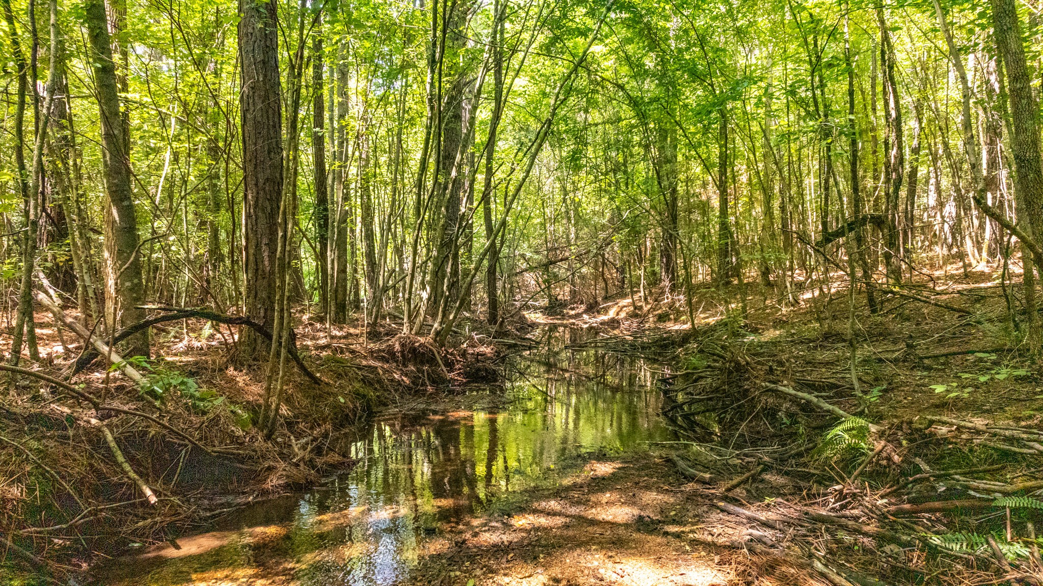 0 Ridgetop Rd Property Photo 48