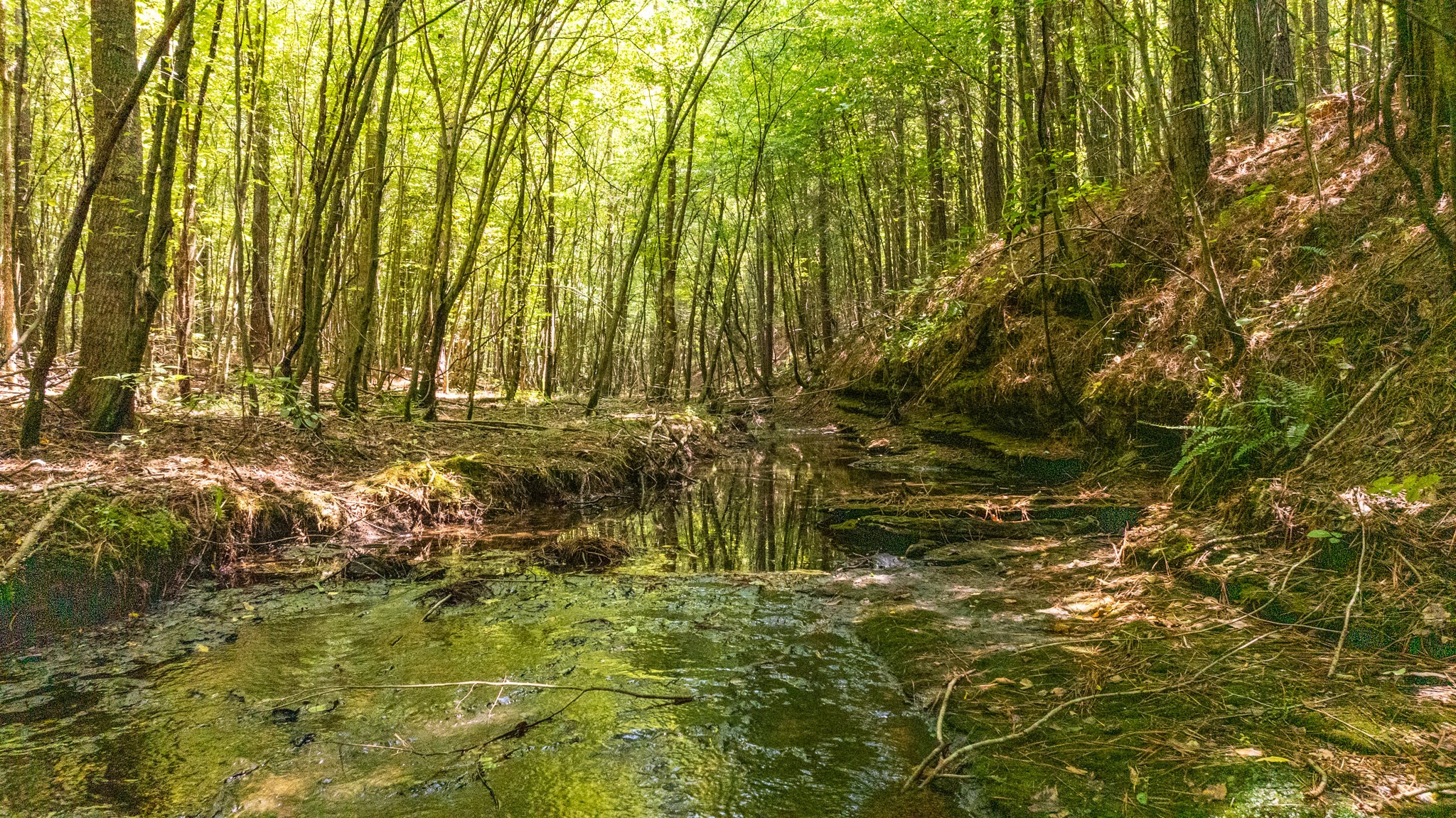 0 Ridgetop Rd Property Photo 49