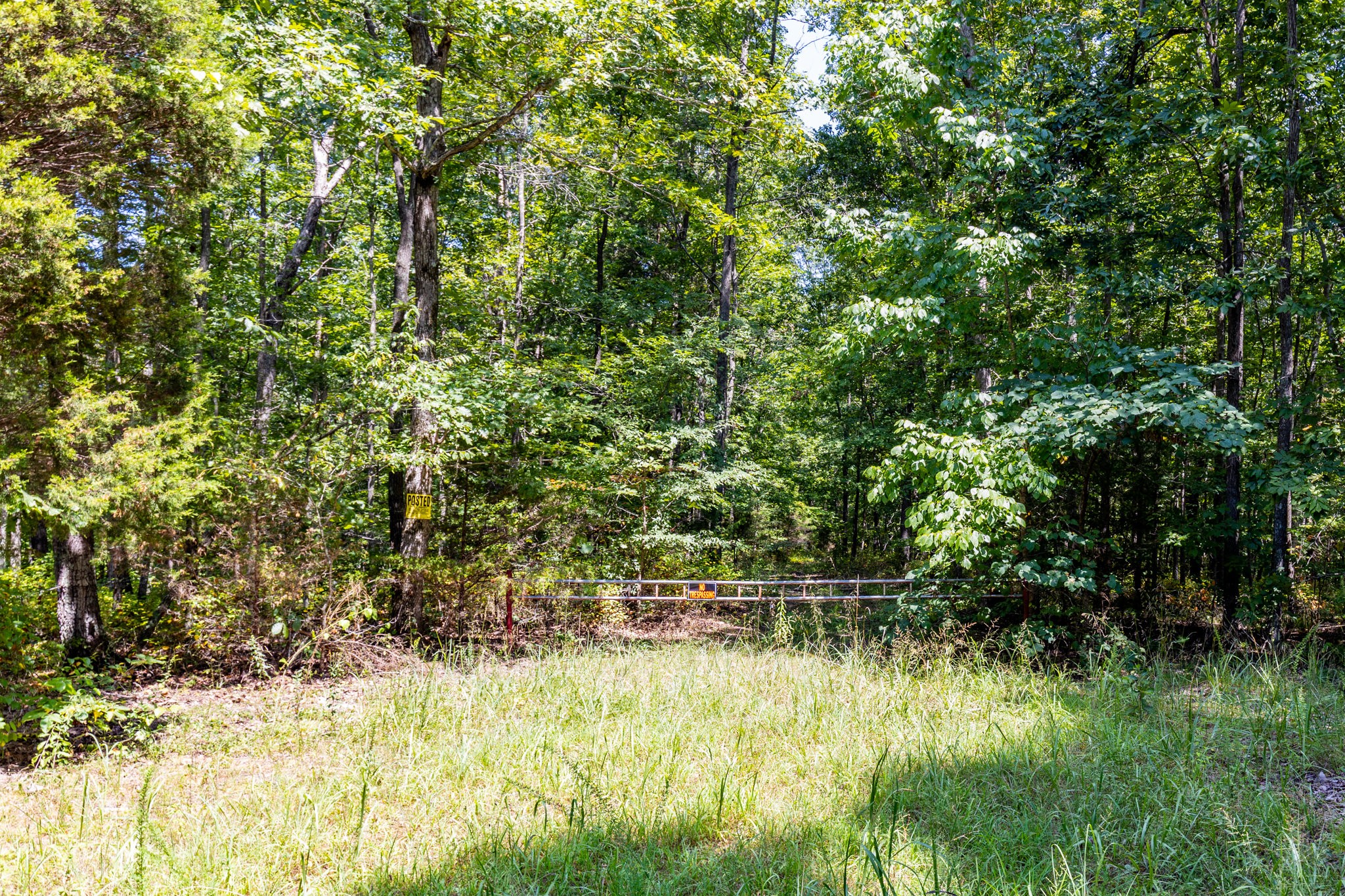 0 Ridgetop Rd Property Photo 53