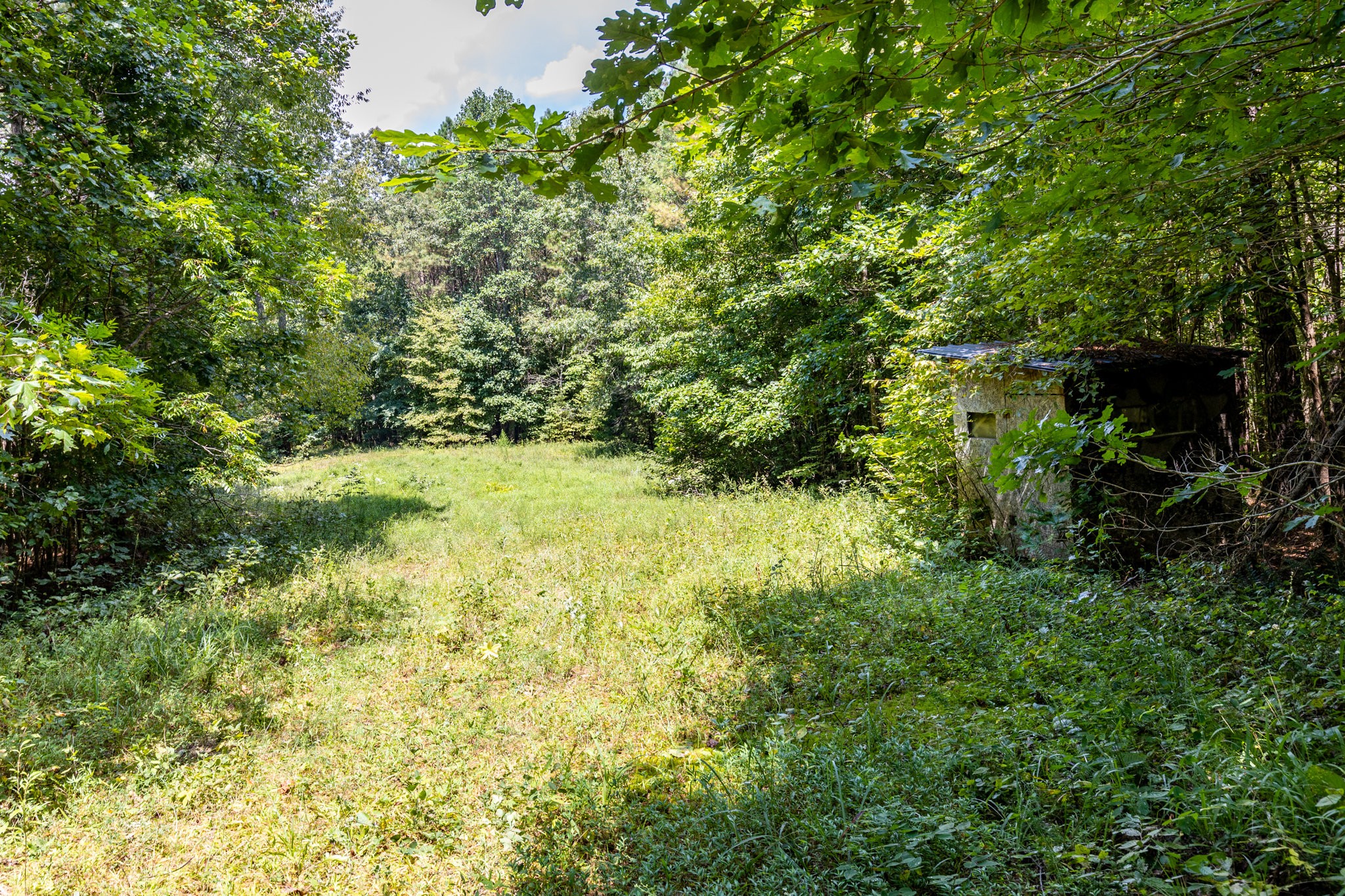 0 Ridgetop Rd Property Photo 58