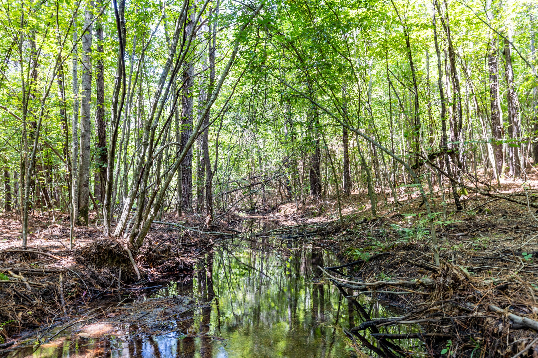 0 Ridgetop Rd Property Photo 60