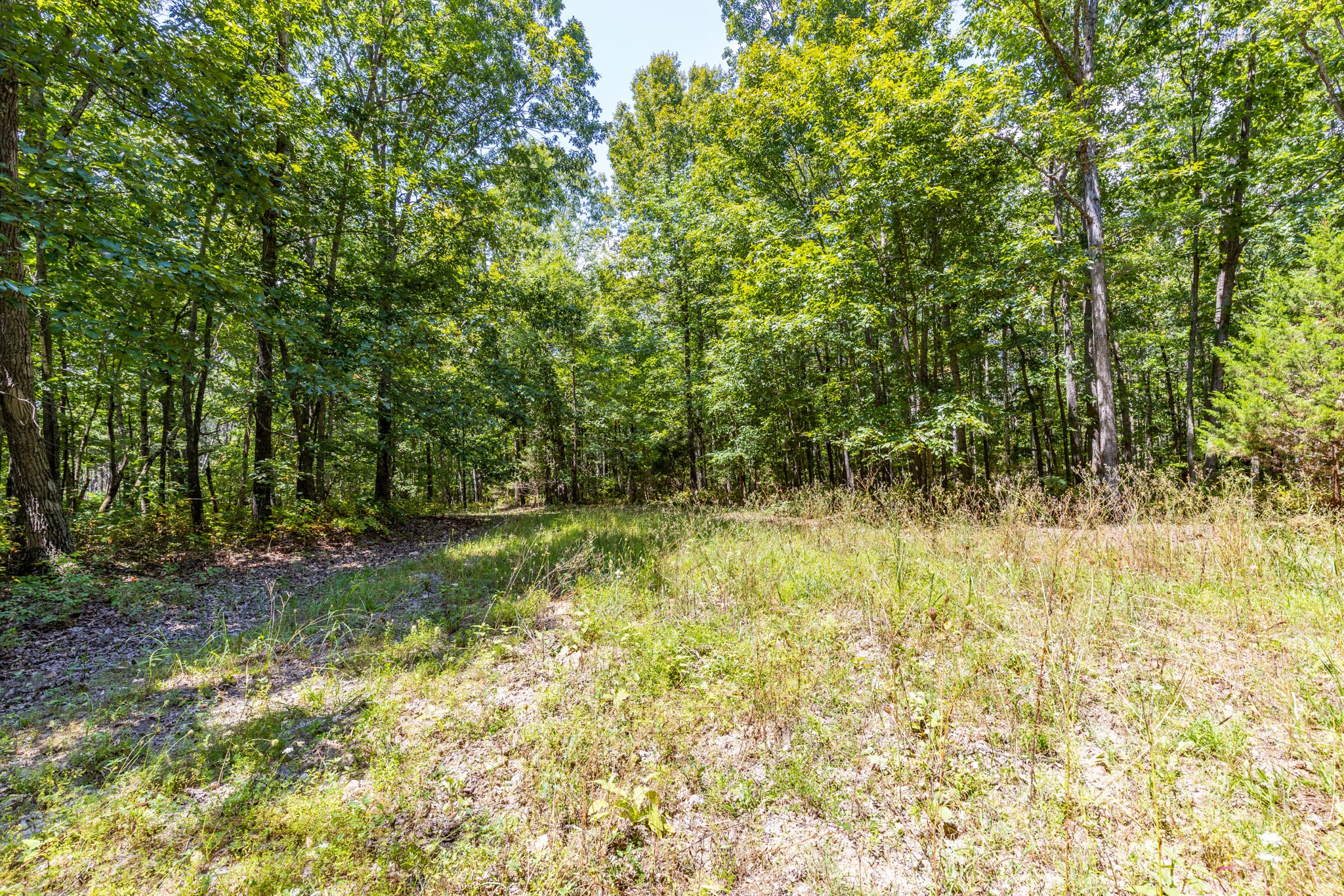 0 Ridgetop Rd Property Photo 69