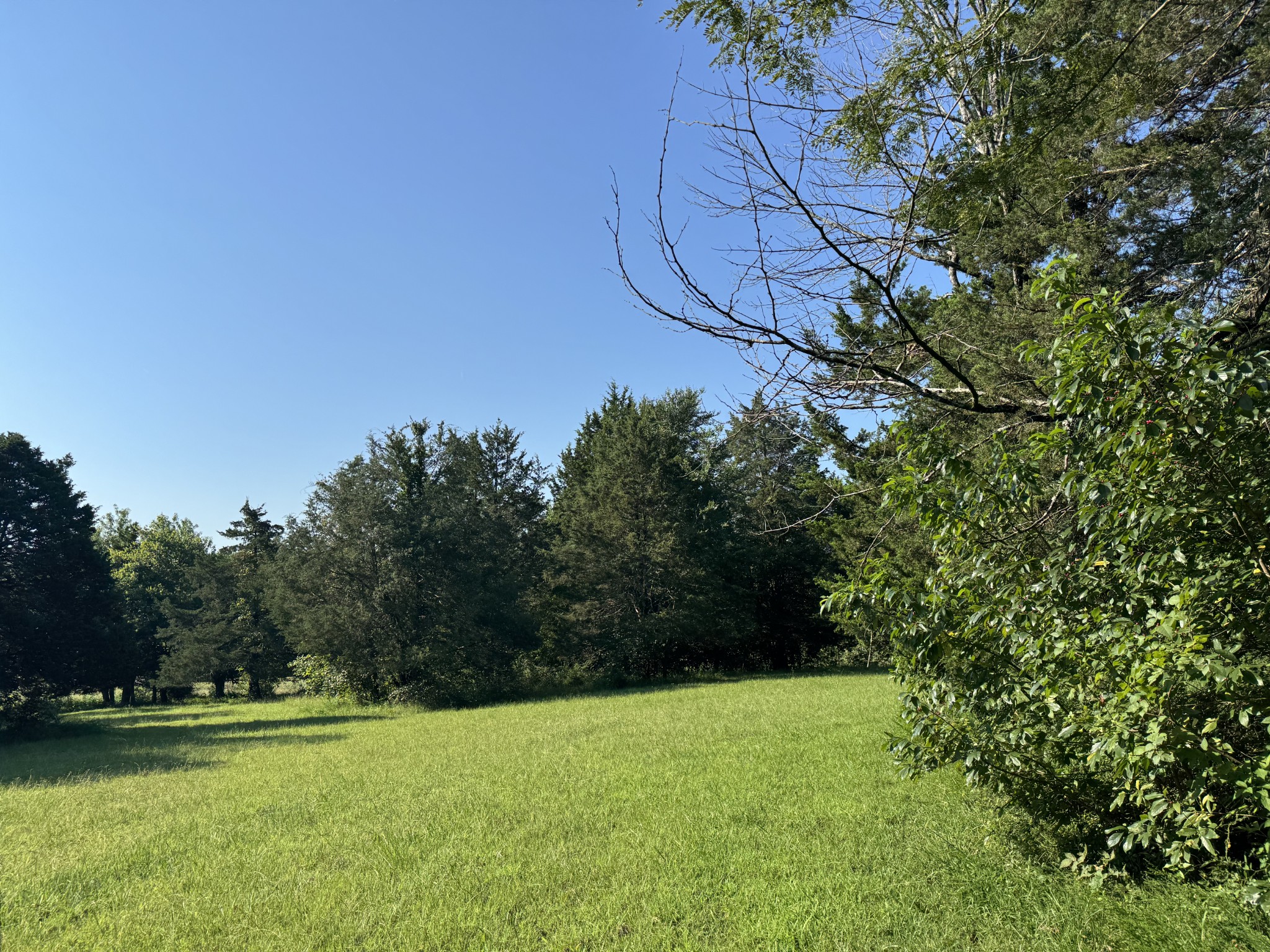 0 Lunns Store Rd Property Photo 1