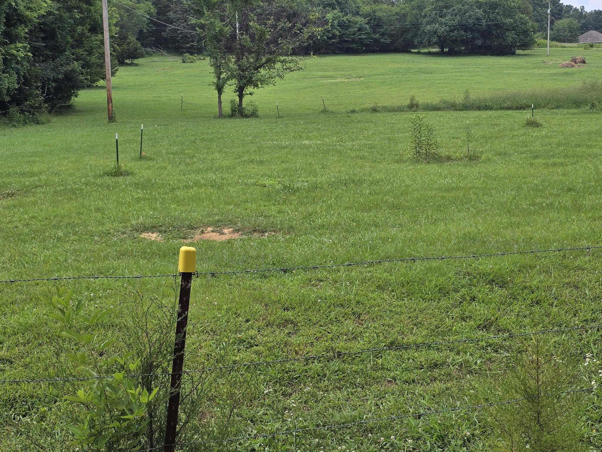 0 Lunns Store Rd Property Photo 9