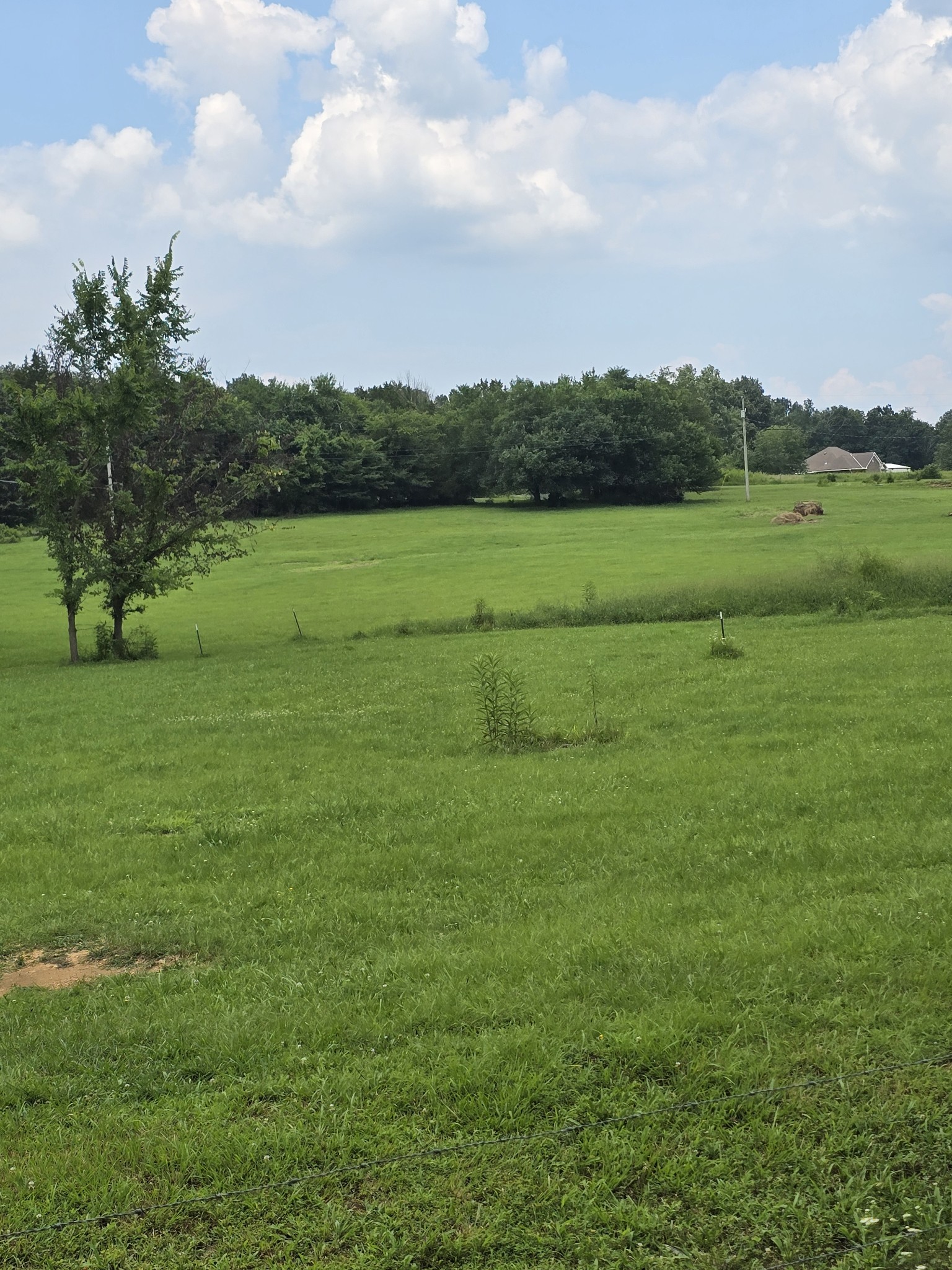 0 Lunns Store Rd Property Photo 12