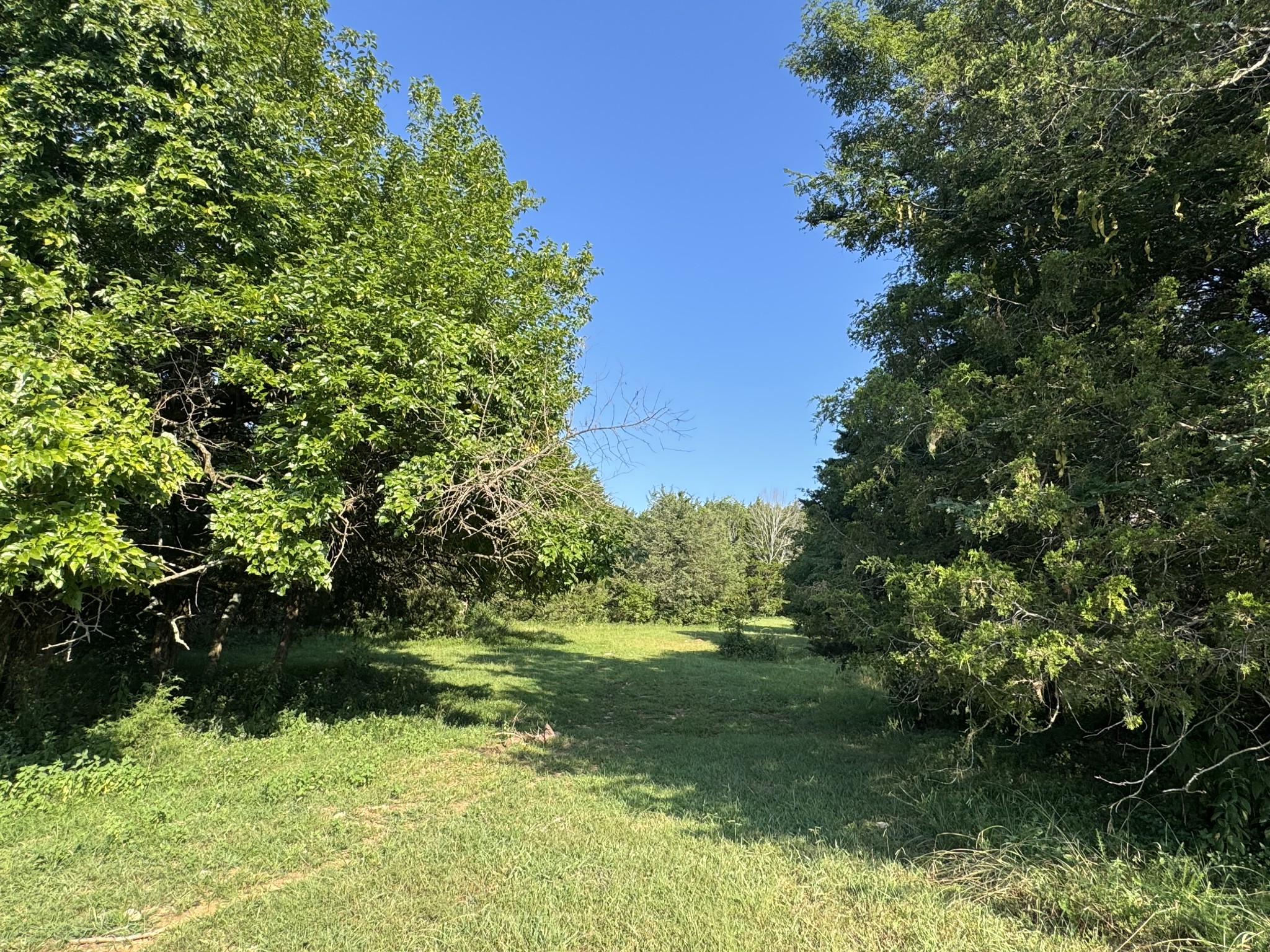 0 Lunns Store Rd Property Photo 22