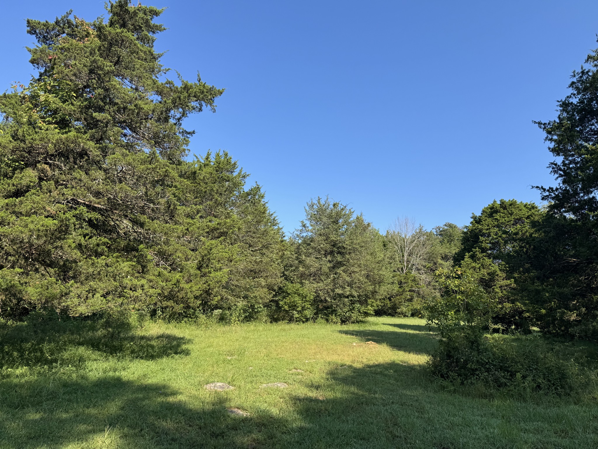 0 Lunns Store Rd Property Photo 23