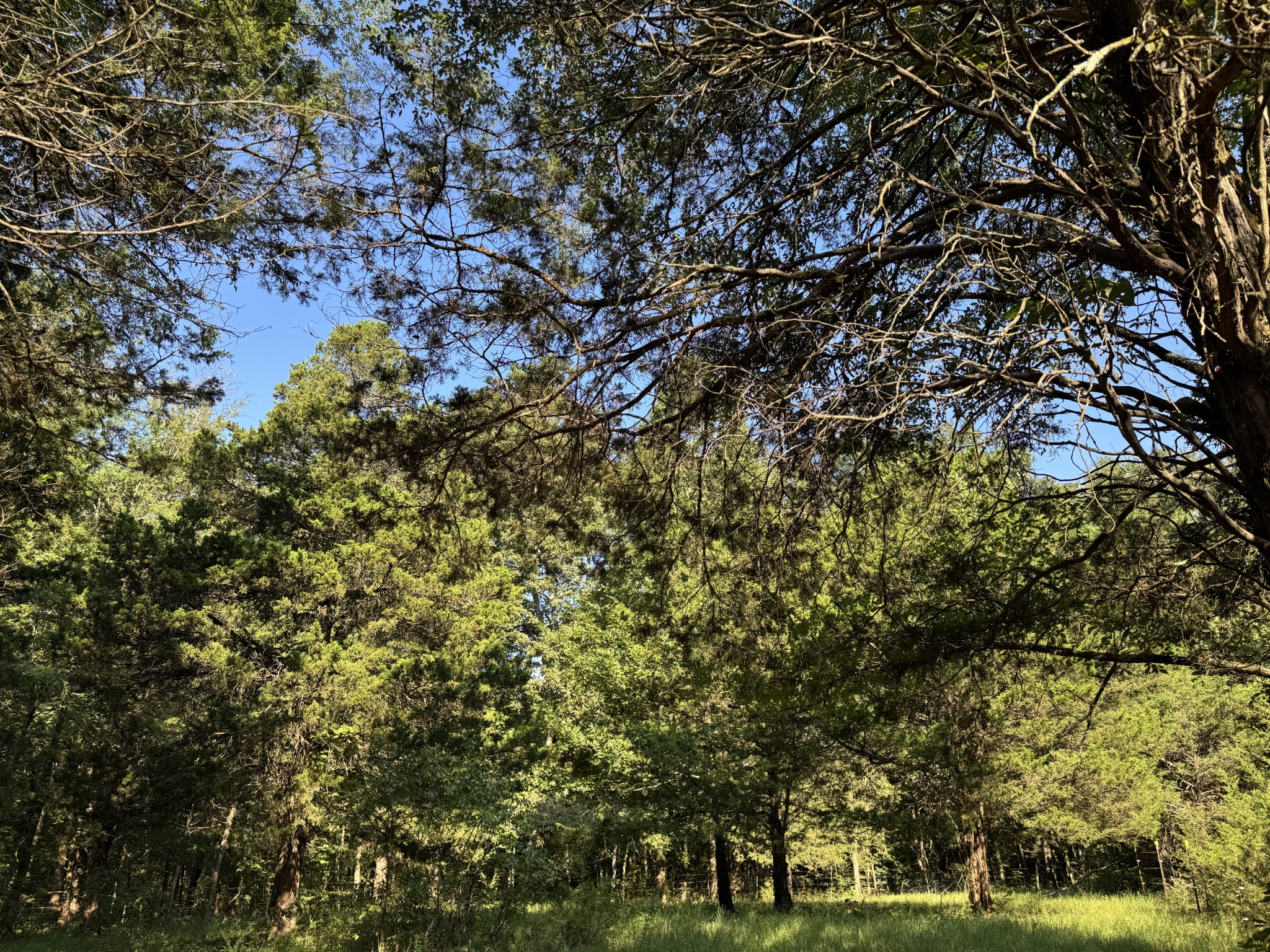 0 Lunns Store Rd Property Photo 25