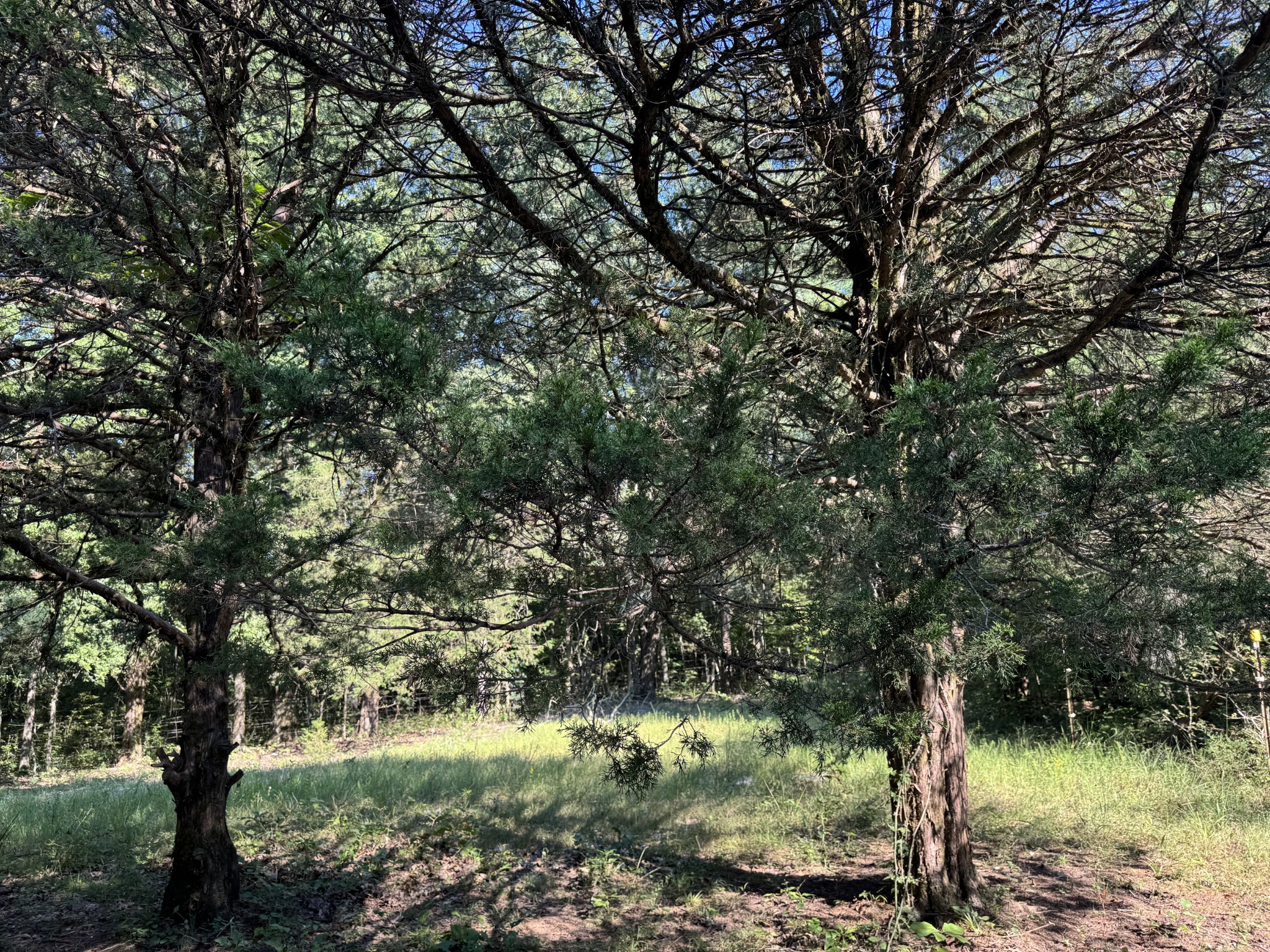 0 Lunns Store Rd Property Photo 26