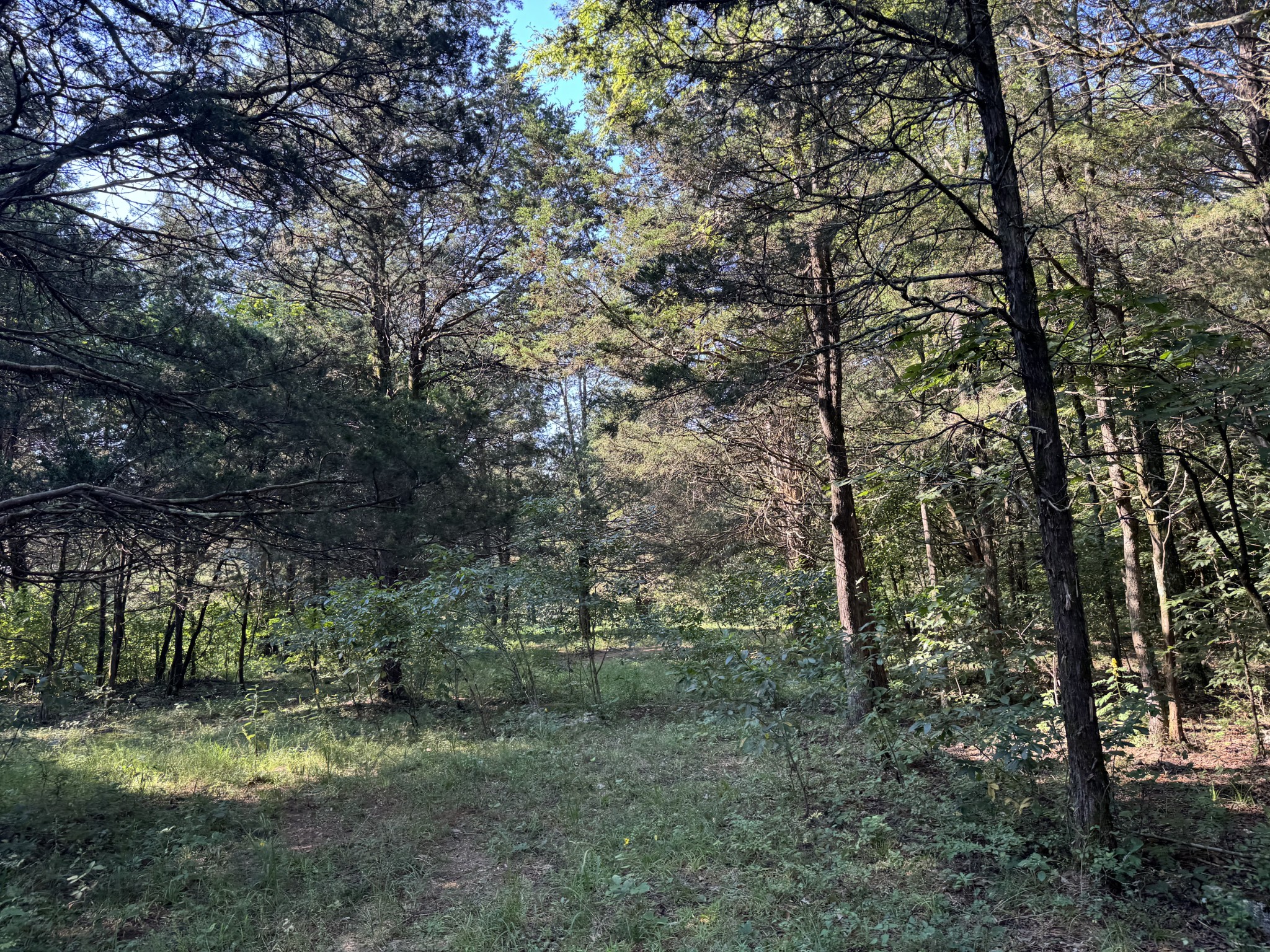 0 Lunns Store Rd Property Photo 27