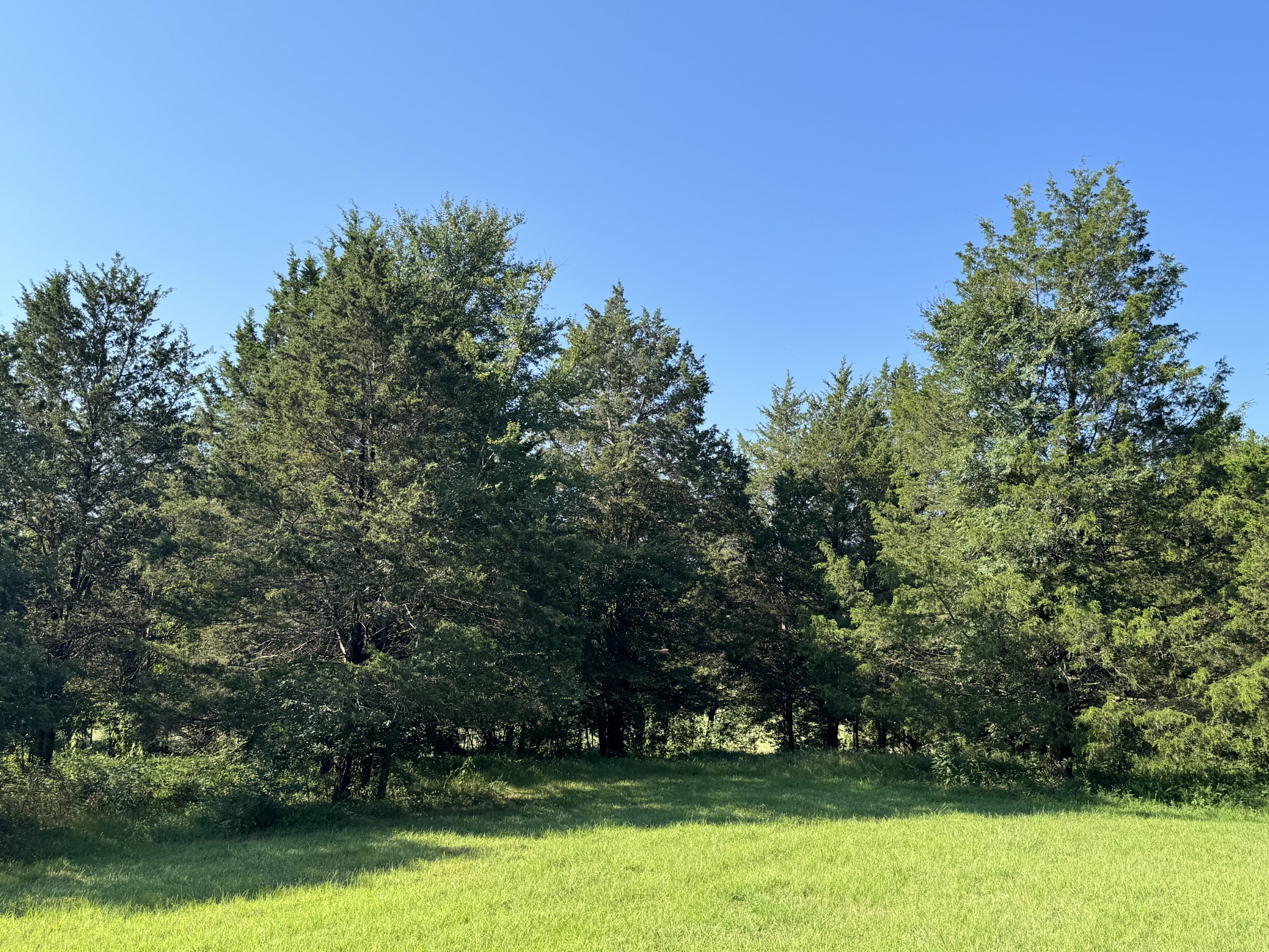 0 Lunns Store Rd Property Photo 29