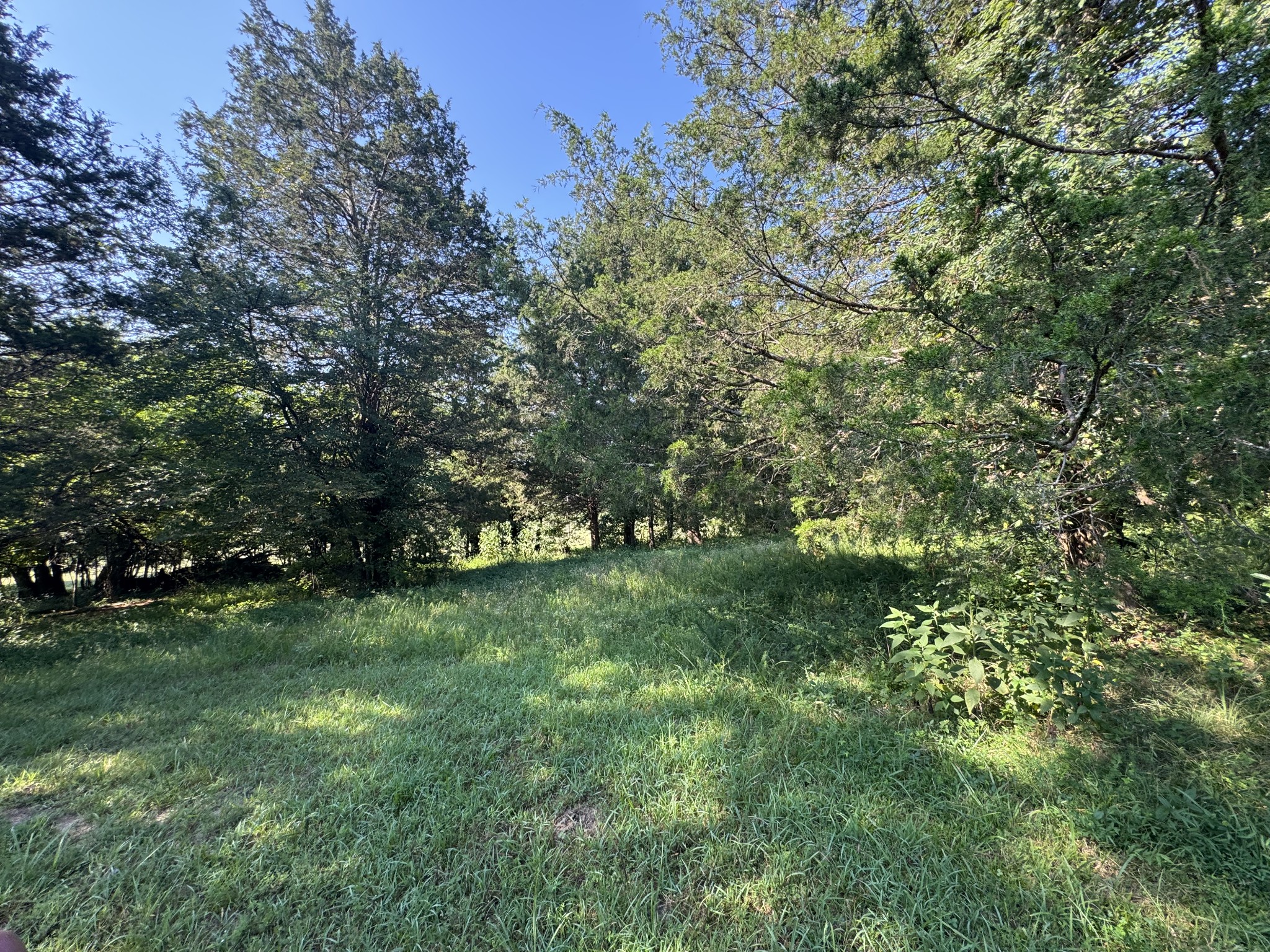 0 Lunns Store Rd Property Photo 30