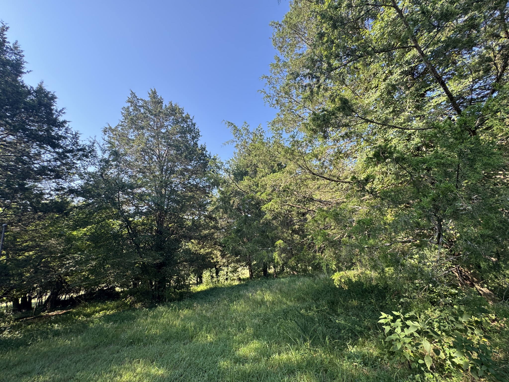 0 Lunns Store Rd Property Photo 31