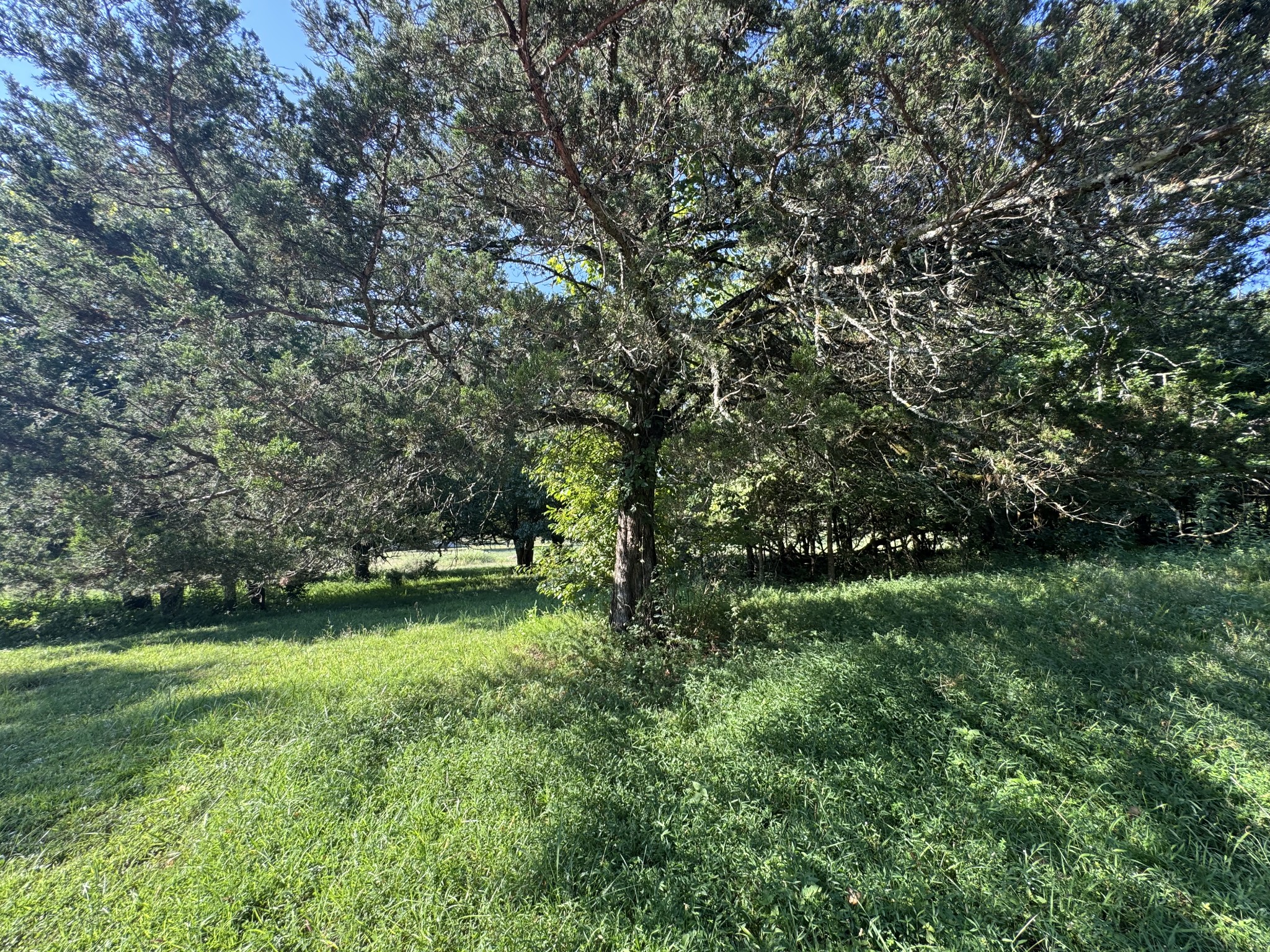 0 Lunns Store Rd Property Photo 32